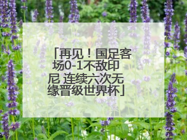 再见！国足客场0-1不敌印尼 连续六次无缘晋级世界杯