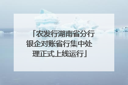 农发行湖南省分行银企对账省行集中处理正式上线运行