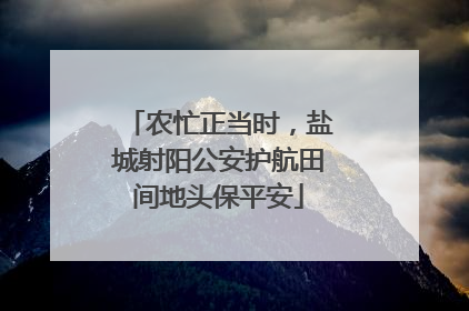 农忙正当时，盐城射阳公安护航田间地头保平安