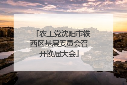 农工党沈阳市铁西区基层委员会召开换届大会