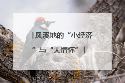 凤溪地的“小经济”与“大情怀”