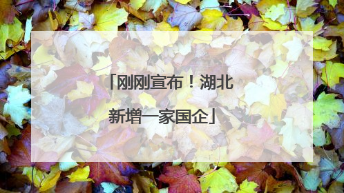 刚刚宣布！湖北新增一家国企