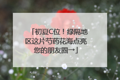 初夏C位！绿隔地区这片芍药花海点亮您的朋友圈→