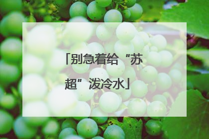 别急着给“苏超”泼冷水