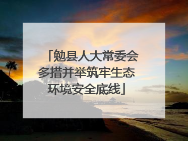 勉县人大常委会多措并举筑牢生态环境安全底线