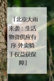 北京大雨来袭：生活物资供应有序 外卖骑手权益获保障
