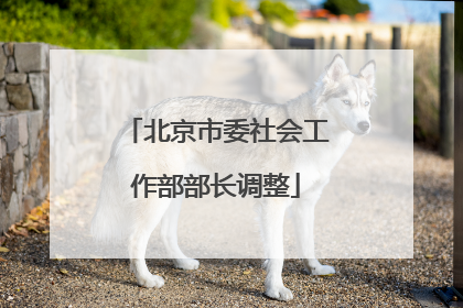 北京市委社会工作部部长调整