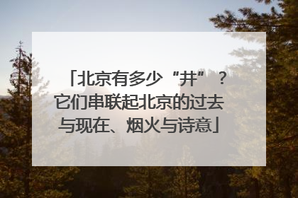 北京有多少“井”？它们串联起北京的过去与现在、烟火与诗意