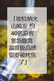 埃特纳火山喷发 约40名游客紧急撤离 温度极高感觉要被烤焦了