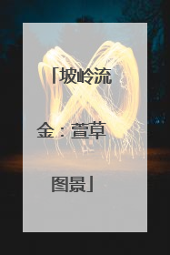 坡岭流金：萱草图景