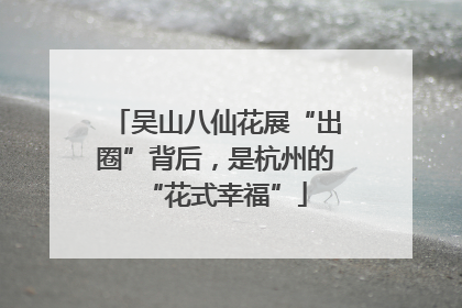 吴山八仙花展“出圈”背后，是杭州的“花式幸福”