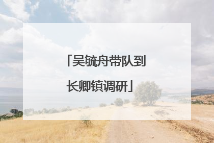 吴毓舟带队到长卿镇调研