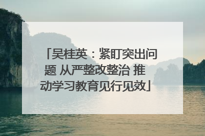 吴桂英：紧盯突出问题 从严整改整治 推动学习教育见行见效