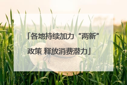 各地持续加力“两新”政策 释放消费潜力