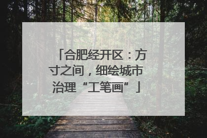 合肥经开区：方寸之间，细绘城市治理“工笔画”