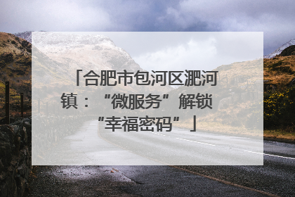 合肥市包河区淝河镇：“微服务”解锁“幸福密码”