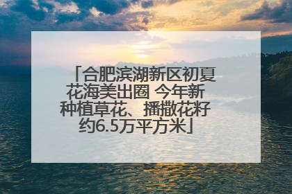 合肥滨湖新区初夏花海美出圈 今年新种植草花、播撒花籽约6.5万平方米