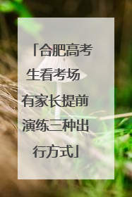 合肥高考生看考场 有家长提前演练三种出行方式