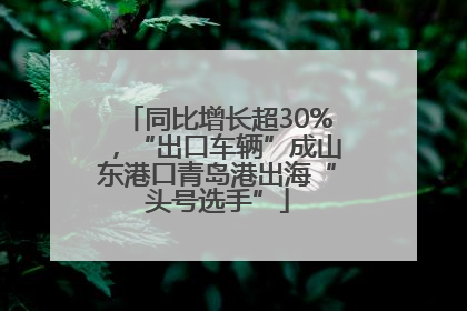 同比增长超30%，“出口车辆”成山东港口青岛港出海“头号选手”