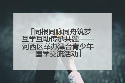 同根同脉同舟筑梦 互学互助传承共融——河西区举办津台青少年国学交流活动