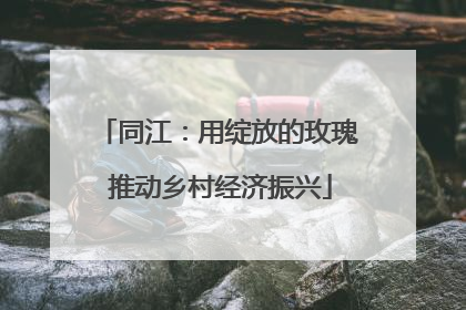 同江：用绽放的玫瑰 推动乡村经济振兴