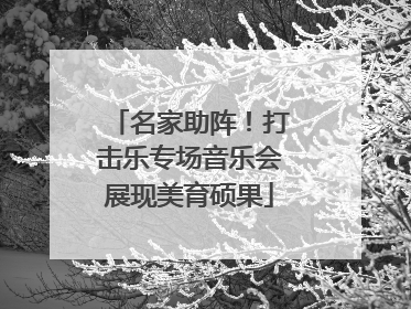 名家助阵！打击乐专场音乐会展现美育硕果
