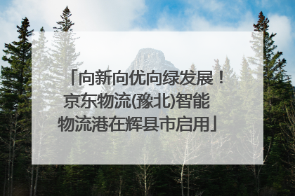 向新向优向绿发展！京东物流(豫北)智能物流港在辉县市启用
