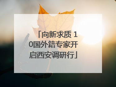 向新求质 10国外籍专家开启西安调研行