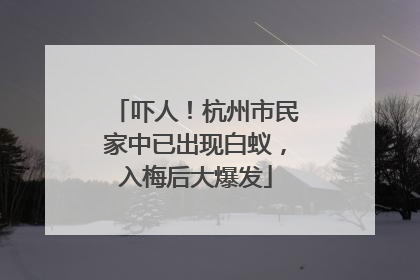 吓人！杭州市民家中已出现白蚁，入梅后大爆发