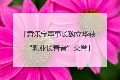 君乐宝董事长魏立华获“乳业长青者”荣誉