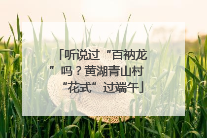 听说过“百衲龙”吗？黄湖青山村“花式”过端午