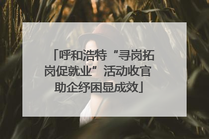 呼和浩特“寻岗拓岗促就业”活动收官 助企纾困显成效