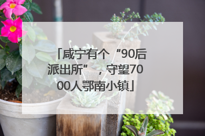 咸宁有个“90后派出所”，守望7000人鄂南小镇
