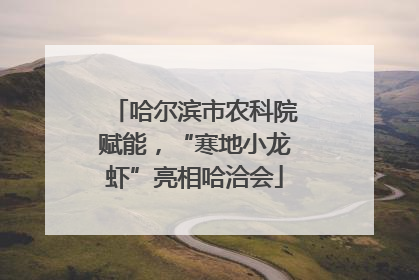 哈尔滨市农科院赋能，“寒地小龙虾”亮相哈洽会