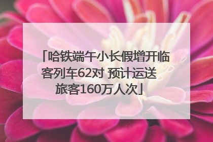 哈铁端午小长假增开临客列车62对 预计运送旅客160万人次