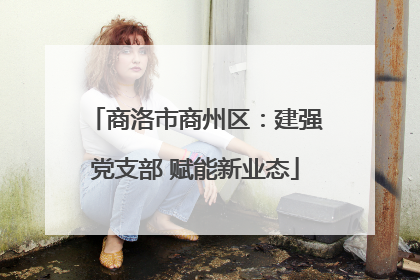 商洛市商州区：建强党支部 赋能新业态