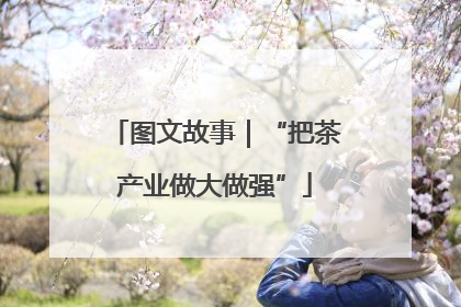 图文故事｜“把茶产业做大做强”
