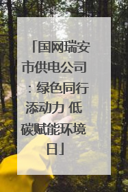 国网瑞安市供电公司：绿色同行添动力 低碳赋能环境日