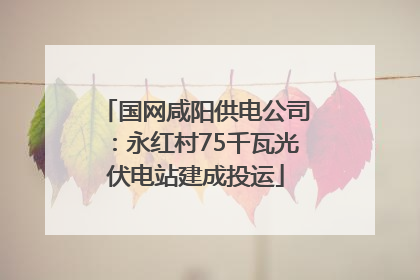 国网咸阳供电公司：永红村75千瓦光伏电站建成投运