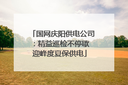 国网庆阳供电公司：精益巡检不停歇 迎峰度夏保供电