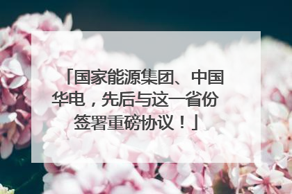国家能源集团、中国华电，先后与这一省份签署重磅协议！