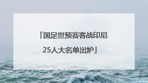 国足世预赛客战印尼25人大名单出炉