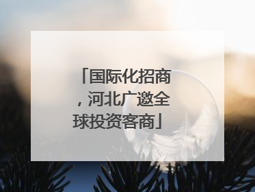国际化招商，河北广邀全球投资客商