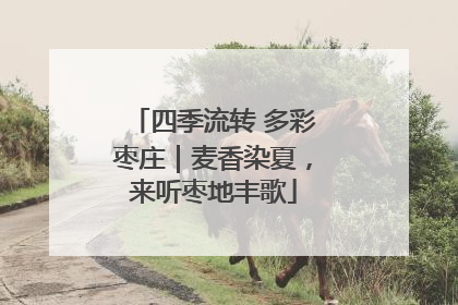 四季流转 多彩枣庄｜麦香染夏，来听枣地丰歌