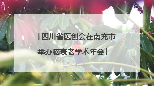 四川省医创会在南充市举办脑衰老学术年会