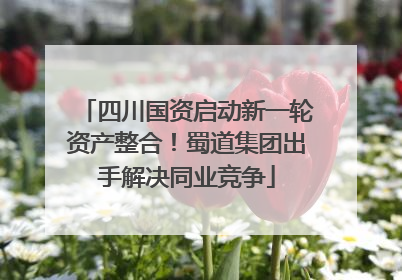 四川国资启动新一轮资产整合！蜀道集团出手解决同业竞争