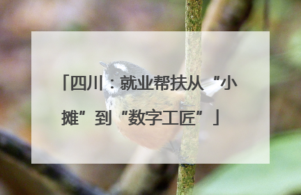 四川：就业帮扶从“小摊”到“数字工匠”