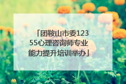 团鞍山市委12355心理咨询师专业能力提升培训举办