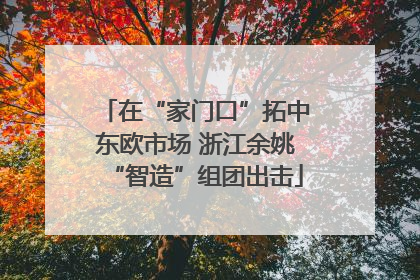 在“家门口”拓中东欧市场 浙江余姚“智造”组团出击