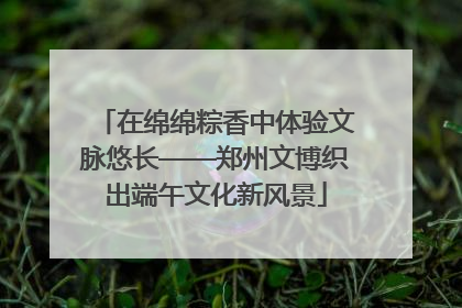 在绵绵粽香中体验文脉悠长——郑州文博织出端午文化新风景